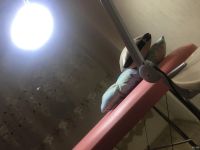 Лот: 13342564. Фото: 7. Кушетка, лампа, принадлежности...