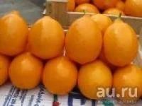 Лот: 8644584. Фото: 2. Лимон Ташкент. тонкокорый. Вкусный... Семена, рассада, садовые растения
