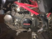 Лот: 9980950. Фото: 5. питбайк irbis ttr 125 без обмена