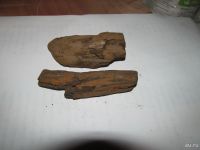 Лот: 8482804. Фото: 4. Окаменевшее дерево.