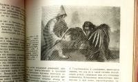 Лот: 19283612. Фото: 11. Театр: Ежемесячный журнал театрального...