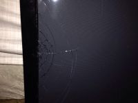 Лот: 3600653. Фото: 2. Телевизор Samsung PS43D452. ТВ и видео