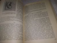 Лот: 24581166. Фото: 10. oz(3092315)Рабинович М. Ц. Пластическая...