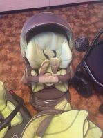 Лот: 6494324. Фото: 6. Коляска Tutis Zippy Pia 3 в 1