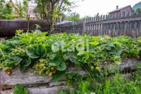 Лот: 25290022. Фото: 11. 5-комн. и более дом , садоводческое...