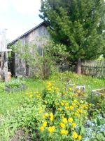 Лот: 9731371. Фото: 2. Дача, участок, дом в Снежнице. Продажа
