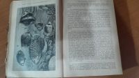 Лот: 24566885. Фото: 3. Брэм Жизнь животных Т3. Литература, книги