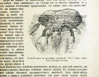 Лот: 20058018. Фото: 7. Чарльз Дарвин. Собрание сочинений...