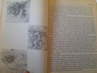Лот: 24399900. Фото: 4. Научитесь мыслить и рисовать как... Красноярск