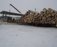 Лот: 3314761. Фото: 2. Пиломатериал, брус, доска. Строительные материалы