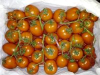 Лот: 6479426. Фото: 3. Помидоры красные на ветке, коробка... Красноярск