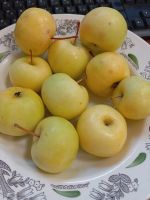 Лот: 16421398. Фото: 2. Яблоки из своего сада без химии... Продукты