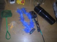 Лот: 5315764. Фото: 3. аквариум + всё содержимое. Растения и животные