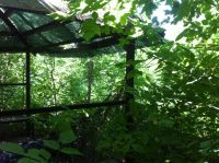 Лот: 7812450. Фото: 5. Беседка совдеповская, надежная...