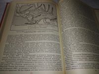 Лот: 18545712. Фото: 4. Альперович М. С., Слезкин Л. Ю... Красноярск