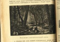 Лот: 17567055. Фото: 11. Вселенная и человечество. (Чудеса...