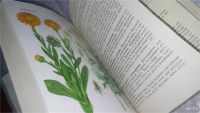 Лот: 11189418. Фото: 9. Oz. Культурные растения СССР...