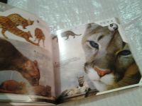 Лот: 6607078. Фото: 5. Фотоальбом. Роев ручей. Красноярский...