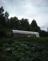 Лот: 14369413. Фото: 5. Дача 2 этажа, баня. Собственник...
