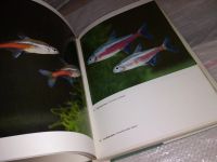 Лот: 14342125. Фото: 8. Иллюстрированная энциклопедия...