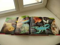 Лот: 8924173. Фото: 4. Книга "Гиннесс. Мировые рекорды... Красноярск