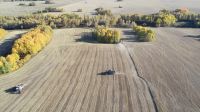 Лот: 20130910. Фото: 4. Овес ячмень пшеницу горох. Красноярск