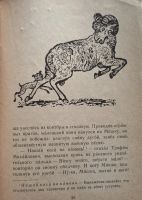 Лот: 25705546. Фото: 7. Пришвин Михаил - Рассказы: Выскочка...