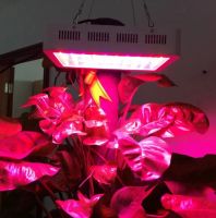 Лот: 7187000. Фото: 2. Светодиодный светильник (Led grow... Комнатные растения и уход