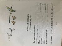 Лот: 12044433. Фото: 3. Маршак . Стихи для самых маленьких. Литература, книги