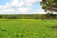 Лот: 9890358. Фото: 2. Земельный участок 10 соток Минино. Продажа