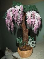 Лот: 935356. Фото: 3. бонсай-глициния (розов). Сувениры, подарки