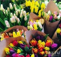 Лот: 13318496. Фото: 12. Крупные тюльпаны оптом. Прямая...