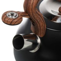 Лот: 23691980. Фото: 4. Чайник нержавеющая сталь, 2.8... Красноярск