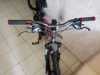 Лот: 19212721. Фото: 2. Велосипед Larsen 26". Велоспорт