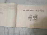 Лот: 19495321. Фото: 3. Альбом пород лошадей СССР. 1953... Литература, книги