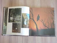 Лот: 22182709. Фото: 4. книга альбом астраханский заповедник...