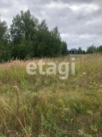 Лот: 25294820. Фото: 9. участок , ДНТ Роза Ветров ДНТ...