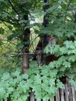 Лот: 25334845. Фото: 6. 1-комн. дача , садоводческое некоммерческое...