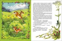 Лот: 15320915. Фото: 3. Зальтен Ф. "Бемби" (ВЛС). Литература, книги