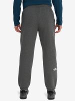 Лот: 23599818. Фото: 2. Брюки мужские The North Face Varsity... Спортивная одежда