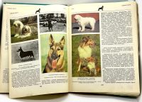 Лот: 24064137. Фото: 5. 📘 Игорь Акимушкин. Мир животных...