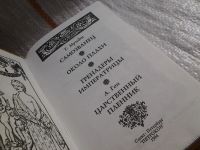 Лот: 5753001. Фото: 2. Самозванец, Теодор Мундт, Антони... Литература, книги