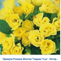 Лот: 16749639. Фото: 3. Семена примулы. Для дачи, дома, огорода, бани, парка