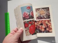 Лот: 13675602. Фото: 3. Никитский ботанический сад. Брошюра... Литература, книги