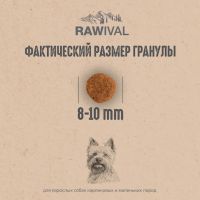 Лот: 24869939. Фото: 9. Rawival Ягненок и Перепелка для...