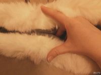 Лот: 8658128. Фото: 5. Муфта для коляски, муфта для санок...