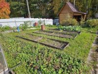 Лот: 25780964. Фото: 9. 3-комн. дача , СНТ Берёзка Садовая...