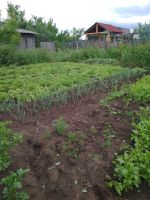 Лот: 15790994. Фото: 3. Участок 7 сот. СНТ "Солнечное-12... Недвижимость