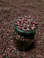 Лот: 14540431. Фото: 2. Продам кедровый орех, урожай 2019. Продукты