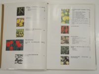 Лот: 19468081. Фото: 6. книга альбом нарциссы тюльпаны...